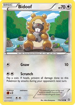 [PKM-C] Bidoof (116/160) [XY: Primal Clash]