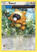 [PKM-C] Bidoof (117/160) [XY: Primal Clash]