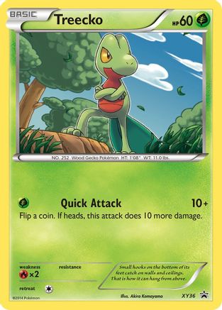 [PKM] Treecko (XY36) [XY: Black Star Promos]