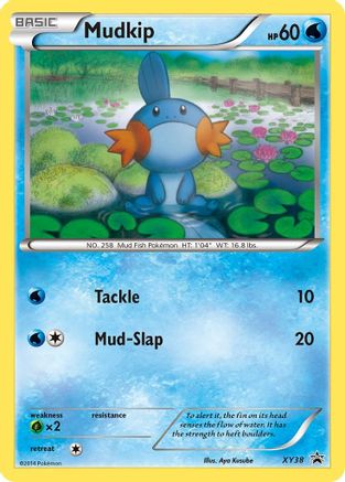 [PKM] Mudkip (XY38) [XY: Black Star Promos]