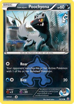 [PKM-C] Team Aqua's Poochyena (16/34) [XY: Double Crisis]