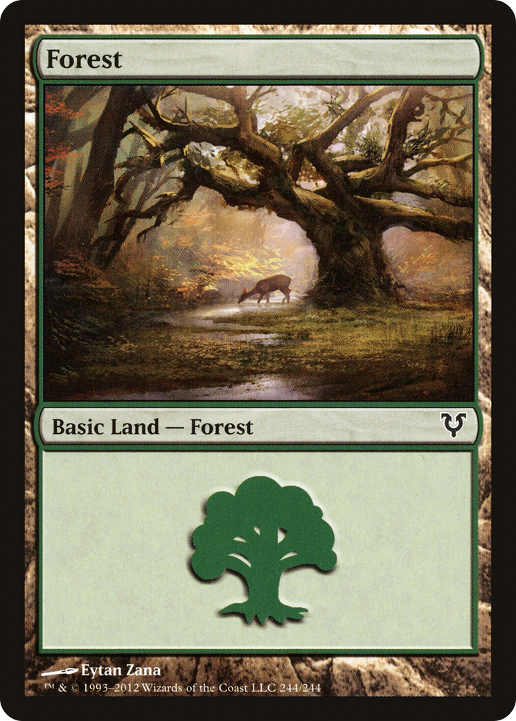 {B}[AVR 244] Forest (244) [Avacyn Restored]