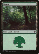 {B}[GVL 030] Forest (30) (Garruk vs. Liliana) [Duel Decks Anthology]