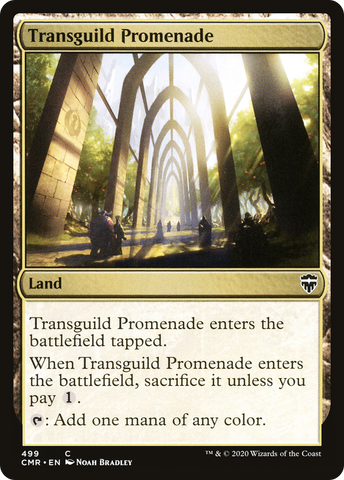 {C} Transguild Promenade [Commander Legends][CMR 499]