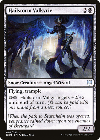 {C} Hailstorm Valkyrie [Kaldheim][KHM 097]