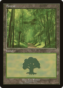 {B}[PA PELP 006] Forest (6) [European Land Program]