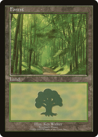 {B}[PA PELP 006] Forest (6) [European Land Program]