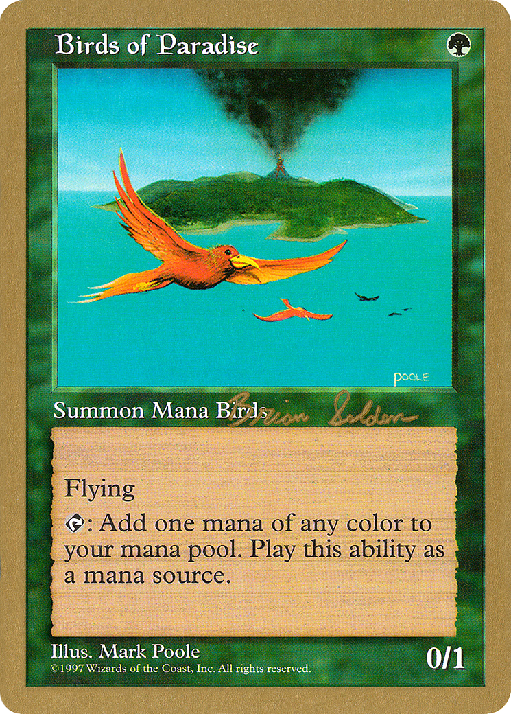 {R} Birds of Paradise (Brian Selden) [World Championship Decks 1998][GB WC98 BS280]
