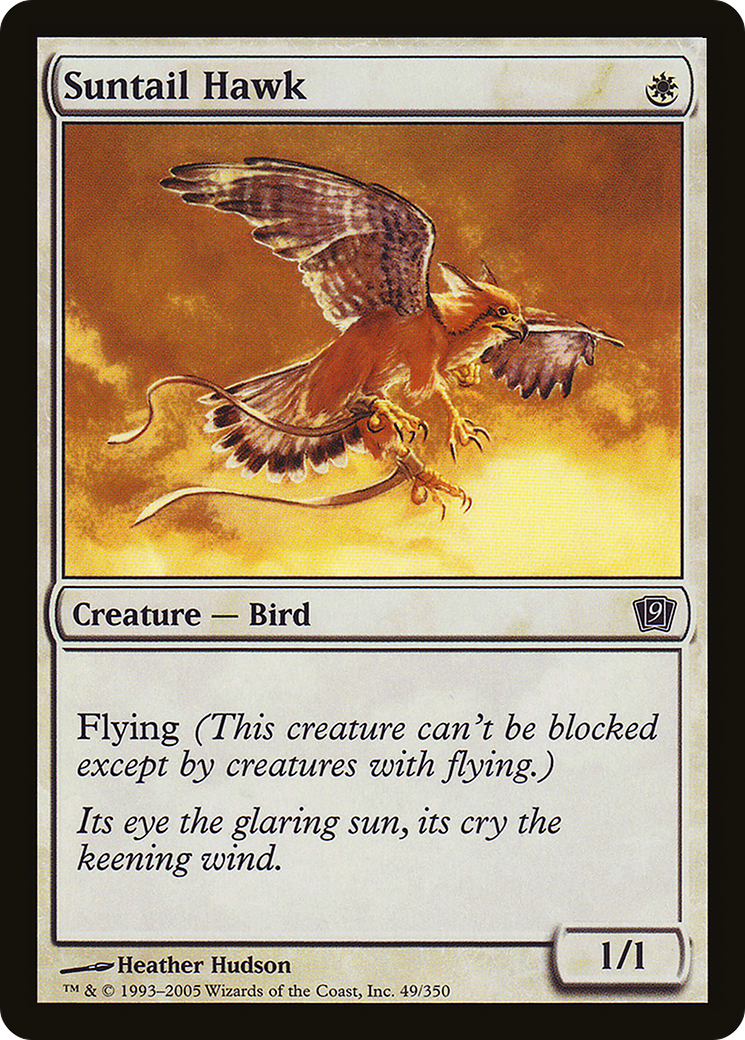 {C} Suntail Hawk [Ninth Edition][9ED 049]