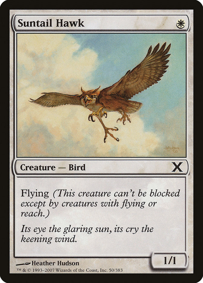 {C} Suntail Hawk [Tenth Edition][10E 050]