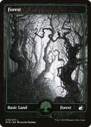 {B}[MID 276] Forest (276) [Innistrad: Midnight Hunt]