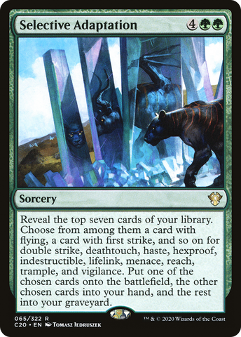 {R} Selective Adaptation [Commander 2020][C20 065]