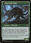 {C} Solitary Hunter // One of the Pack [Shadows over Innistrad][SOI 229]