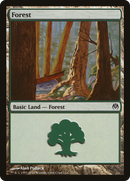 {B}[DDE 071] Forest (71) [Duel Decks: Phyrexia vs. the Coalition]