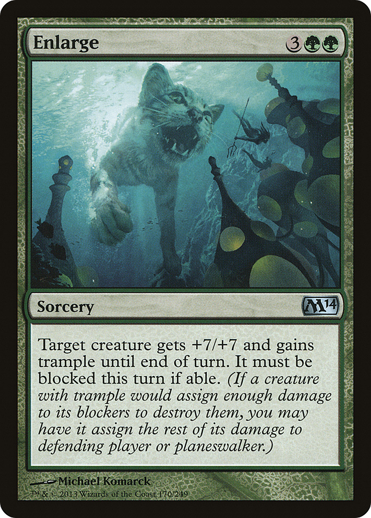 {C} Enlarge [Magic 2014][M14 170]