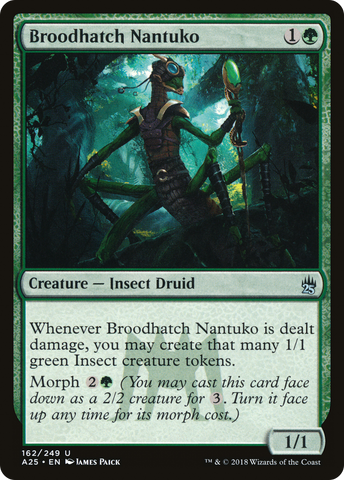 {C} Broodhatch Nantuko [Masters 25][A25 162]