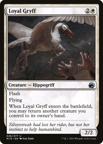 {C} Loyal Gryff [Innistrad: Midnight Hunt][MID 026]