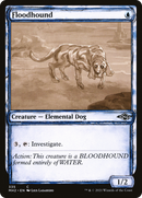 {C} Floodhound (Sketch) [Modern Horizons 2][MH2 335]