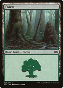 {B}[GVL 028] Forest (28) (Garruk vs. Liliana) [Duel Decks Anthology]