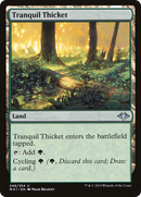 {C} Tranquil Thicket [Modern Horizons][MH1 248]