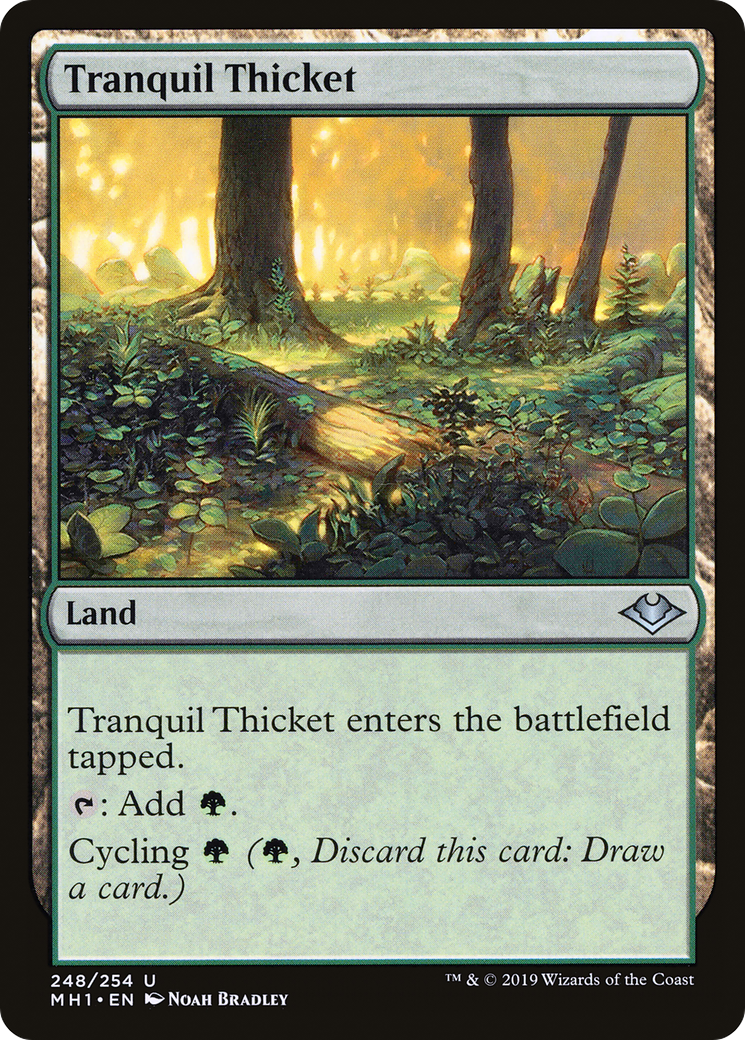 {C} Tranquil Thicket [Modern Horizons][MH1 248]