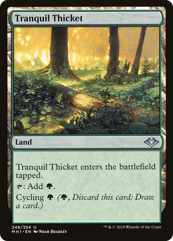 {C} Tranquil Thicket [Modern Horizons][MH1 248]