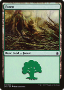 {B}[CMA 310] Forest (310) [Commander Anthology]