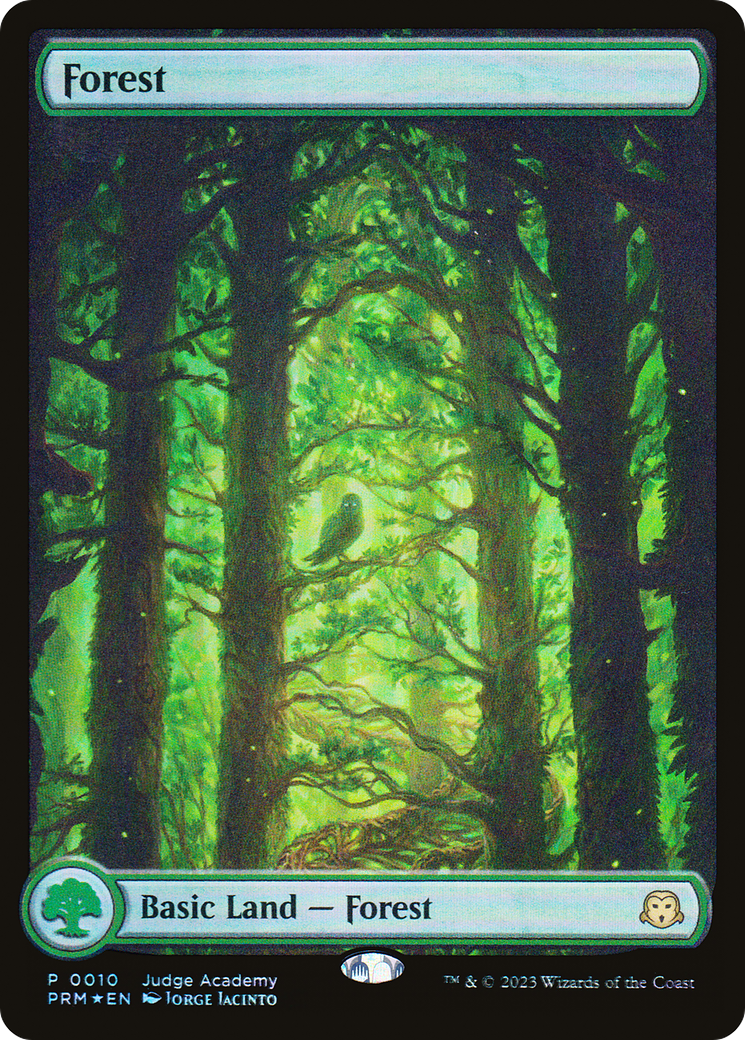 {B} Forest [Judge Gift Cards 2023][PA G03 010]