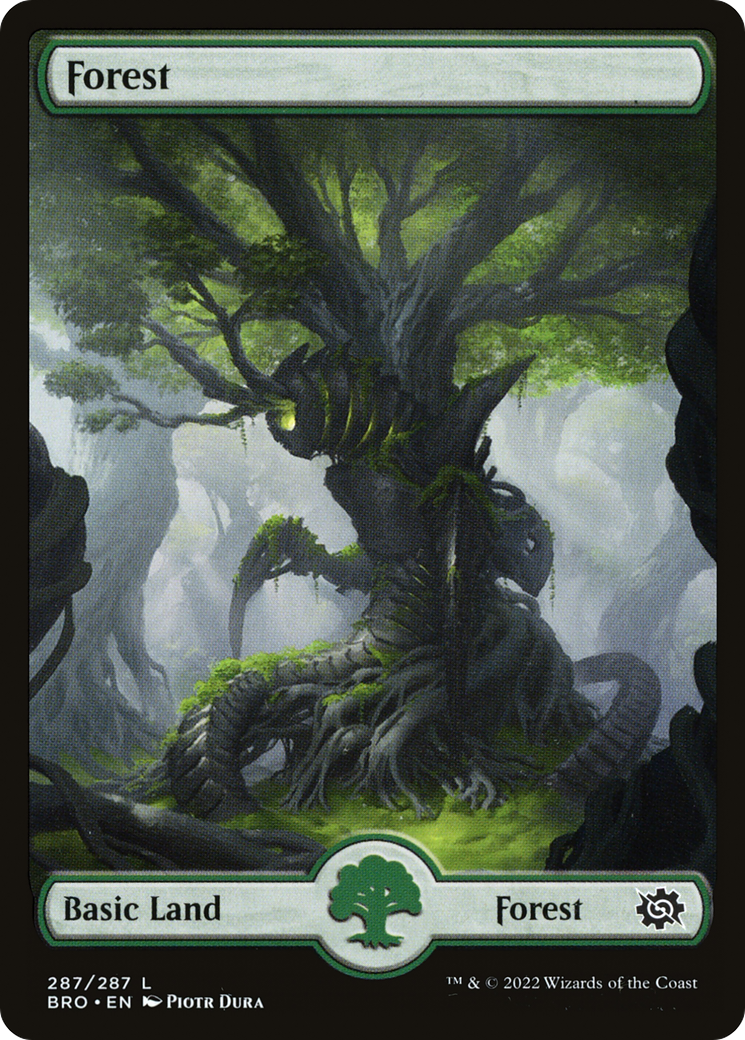 {B}[BRO 287] Forest (287) [The Brothers' War]