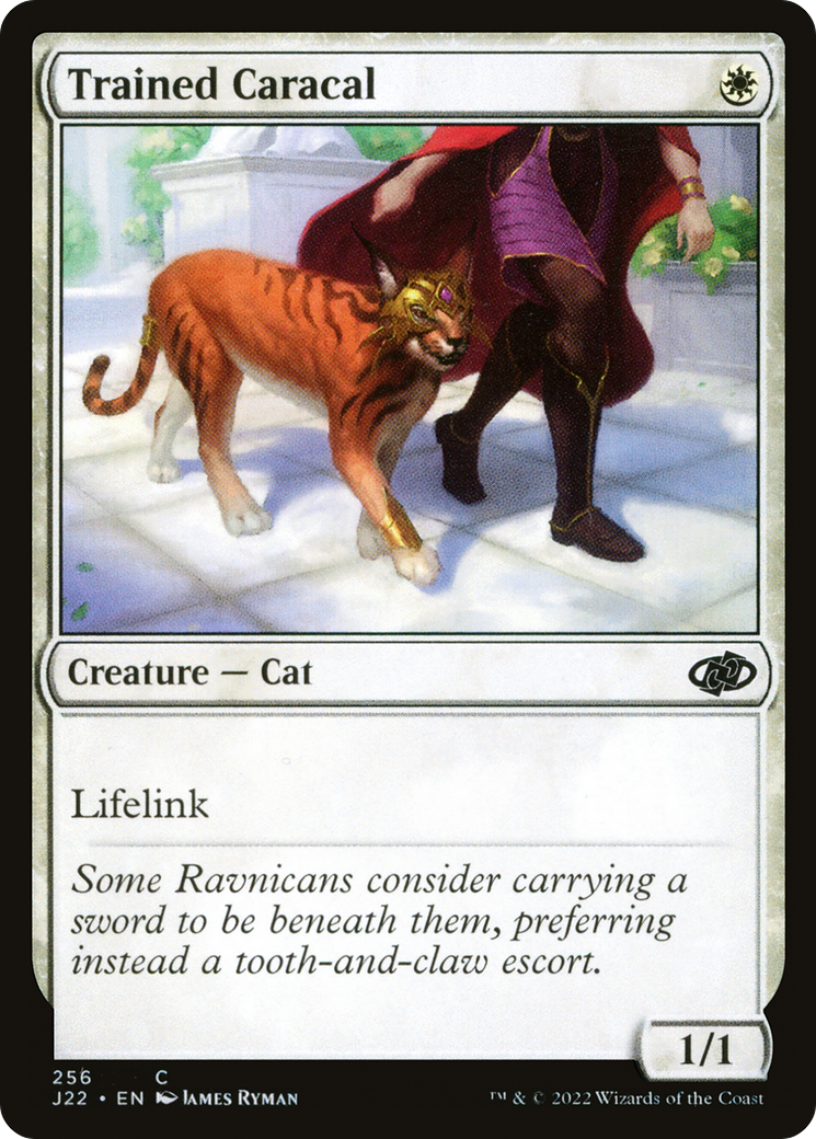 {C} Trained Caracal [Jumpstart 2022][J22 256]