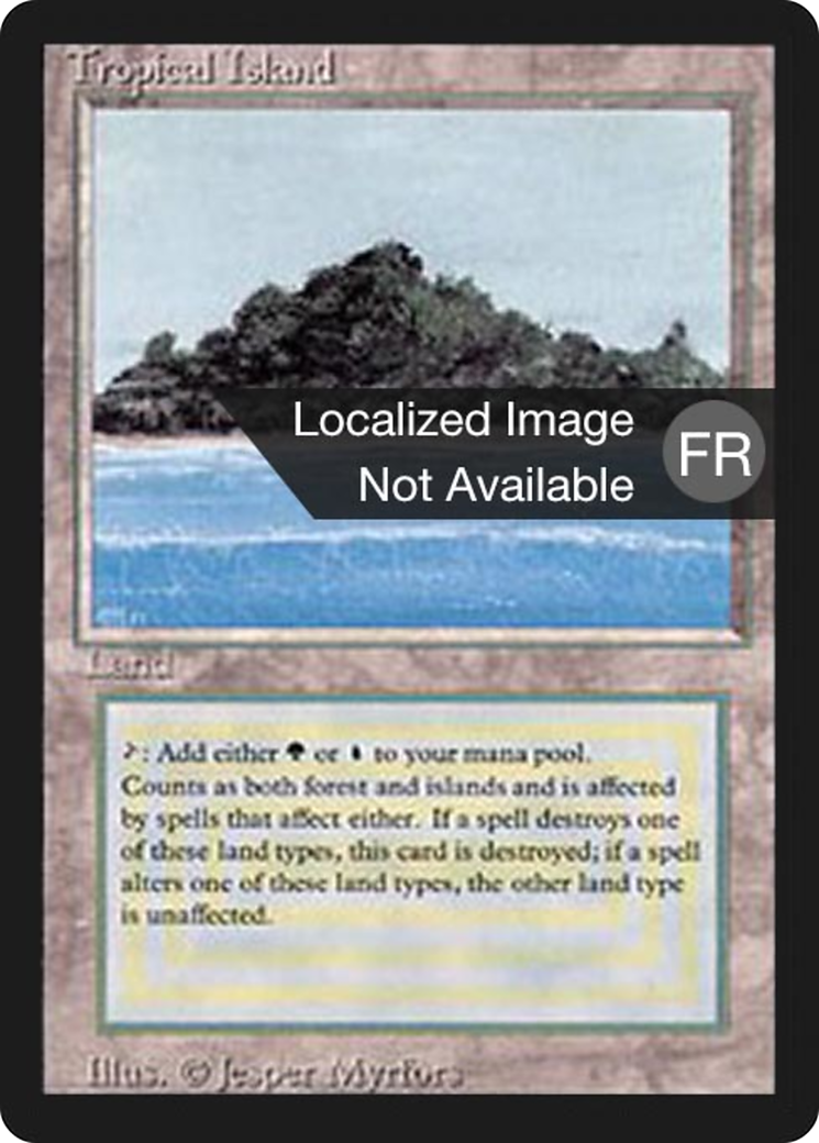 {F} Tropical Island [Foreign Black Border][FBB 3ED 288]
