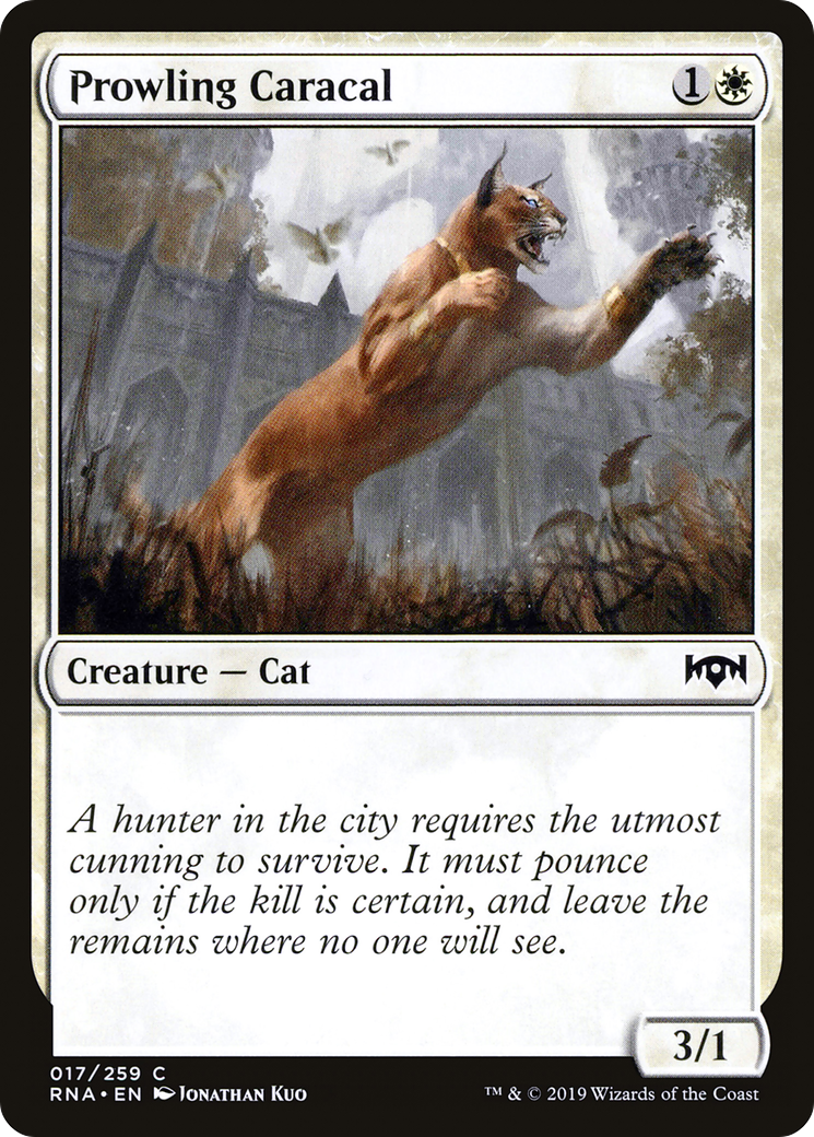 {C} Prowling Caracal [Ravnica Allegiance][RNA 017]