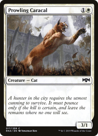 {C} Prowling Caracal [Ravnica Allegiance][RNA 017]