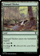 {C} Tranquil Thicket [Murders at Karlov Manor Commander][MKC 309]