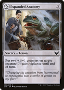 {C} Expanded Anatomy [Strixhaven: School of Mages][STX 002]