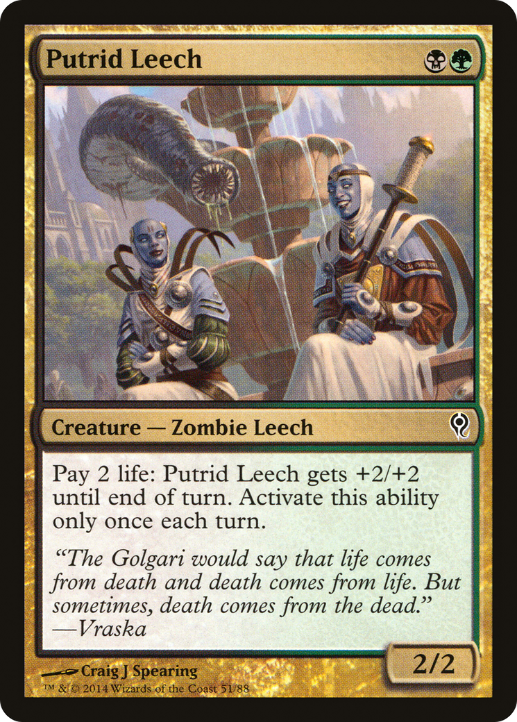 {C} Putrid Leech [Duel Decks: Jace vs. Vraska][DDM 051]