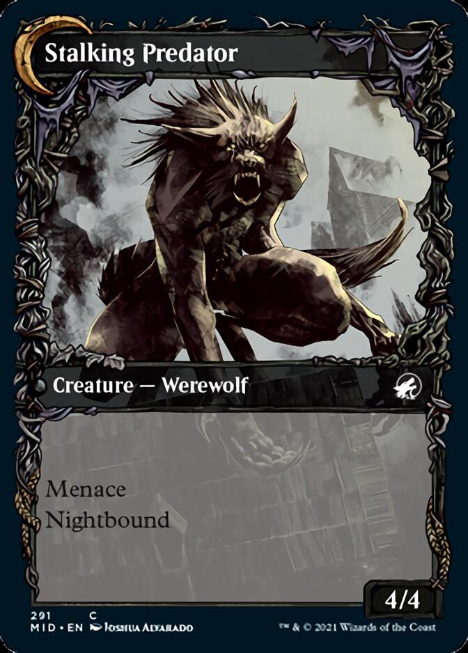 {C} Shady Traveler // Stalking Predator (Showcase Equinox) [Innistrad: Midnight Hunt][MID 291]