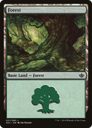 {B}[GVL 031] Forest (31) (Garruk vs. Liliana) [Duel Decks Anthology]