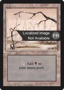 {B}[FBB 3ED 299] Swamp (B) [Foreign Black Border]