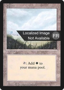 {B}[FBB 3ED 292] Plains (A) [Foreign Black Border]