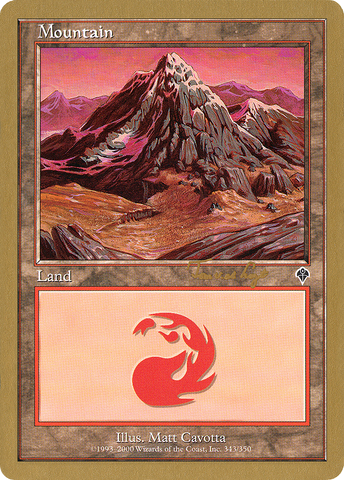 {B}[GB WC01 TVDL343] Mountain (tvdl343) (Tom van de Logt) [World Championship Decks 2001]