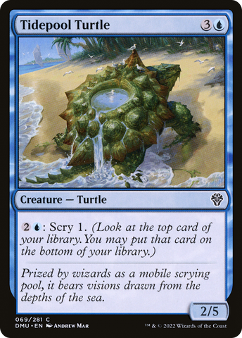 {C} Tidepool Turtle [Dominaria United][DMU 069]