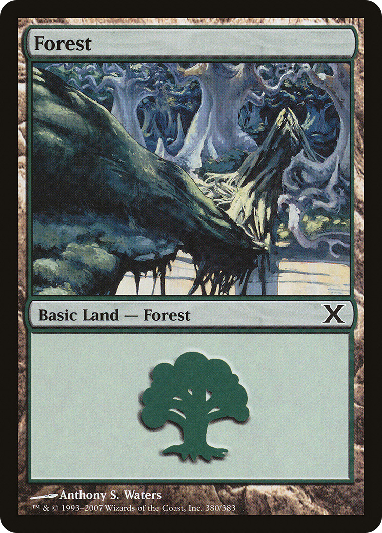 {B}[10E 380] Forest (380) [Tenth Edition]