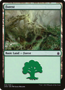 {B}[CMA 316] Forest (316) [Commander Anthology]