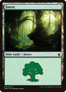 {B}[CMA 314] Forest (314) [Commander Anthology]