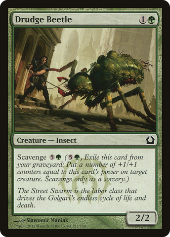 {C} Drudge Beetle [Return to Ravnica][RTR 122]