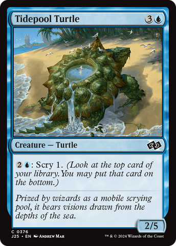 {C} Tidepool Turtle [Foundations Jumpstart][J25 376]