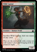 {C} Wild Cantor [Ravnica Remastered][RVR 239]
