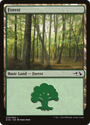 {B}[EVG 029] Forest (29) (Elves vs. Goblins) [Duel Decks Anthology]