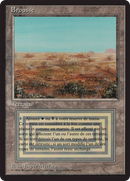 {F} Scrubland [Foreign Black Border][FBB 3ED 286]